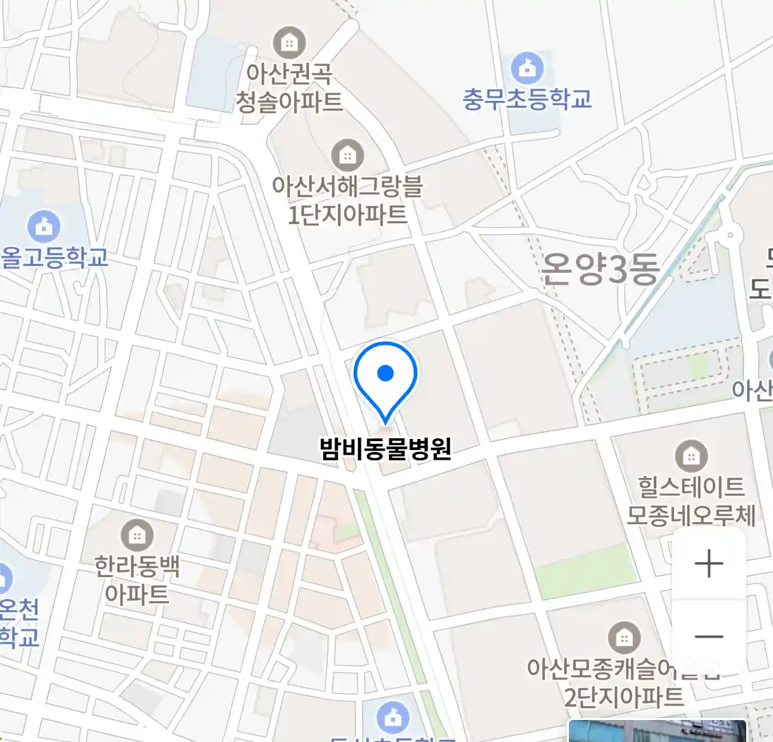 밤비동물병원 위치