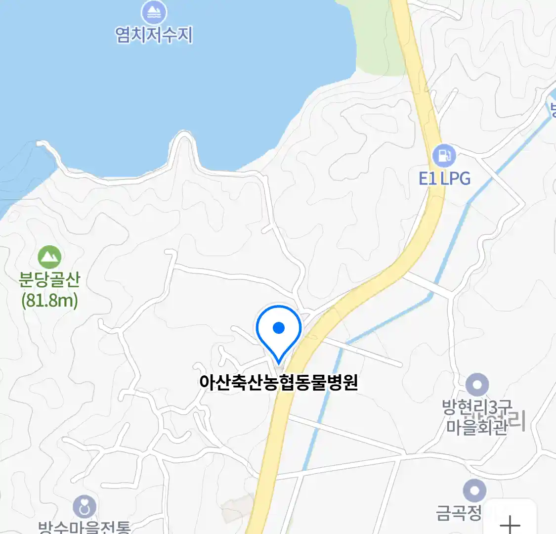 아산축산농협동물병원 위치