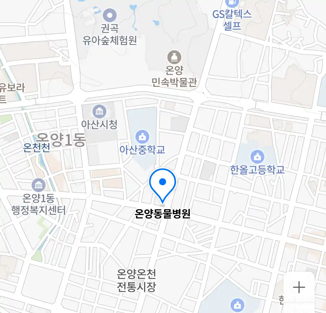온양동물병원 위치