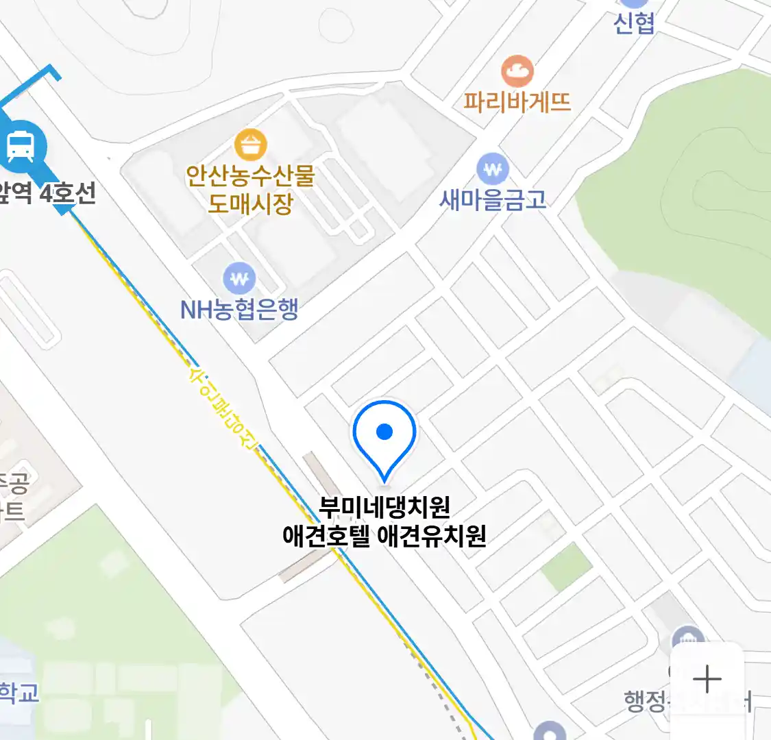 부미네댕치원 애견호텔 애견유치원 위치