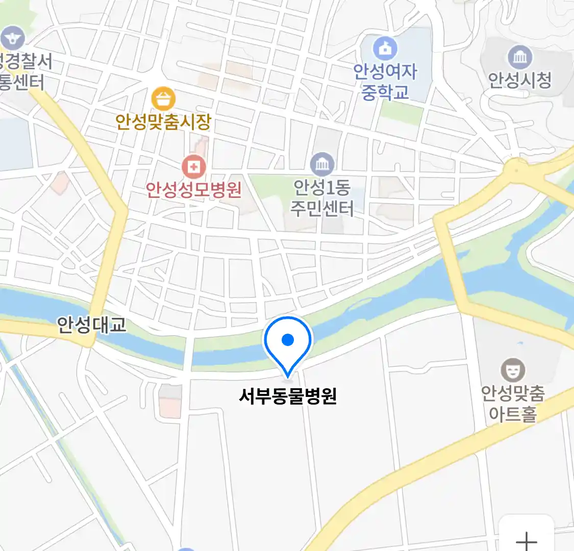 서부동물병원 위치