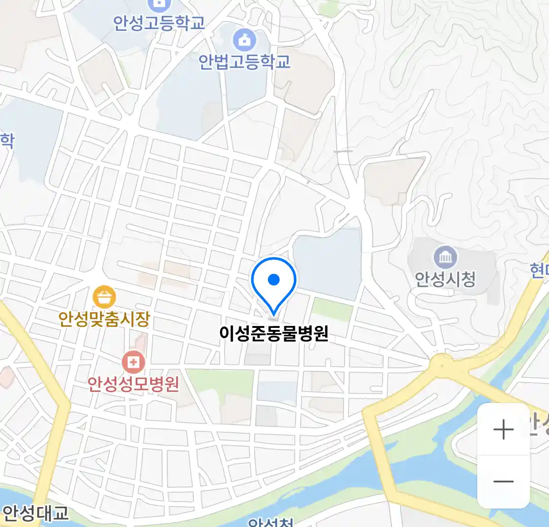 이성준동물병원 위치