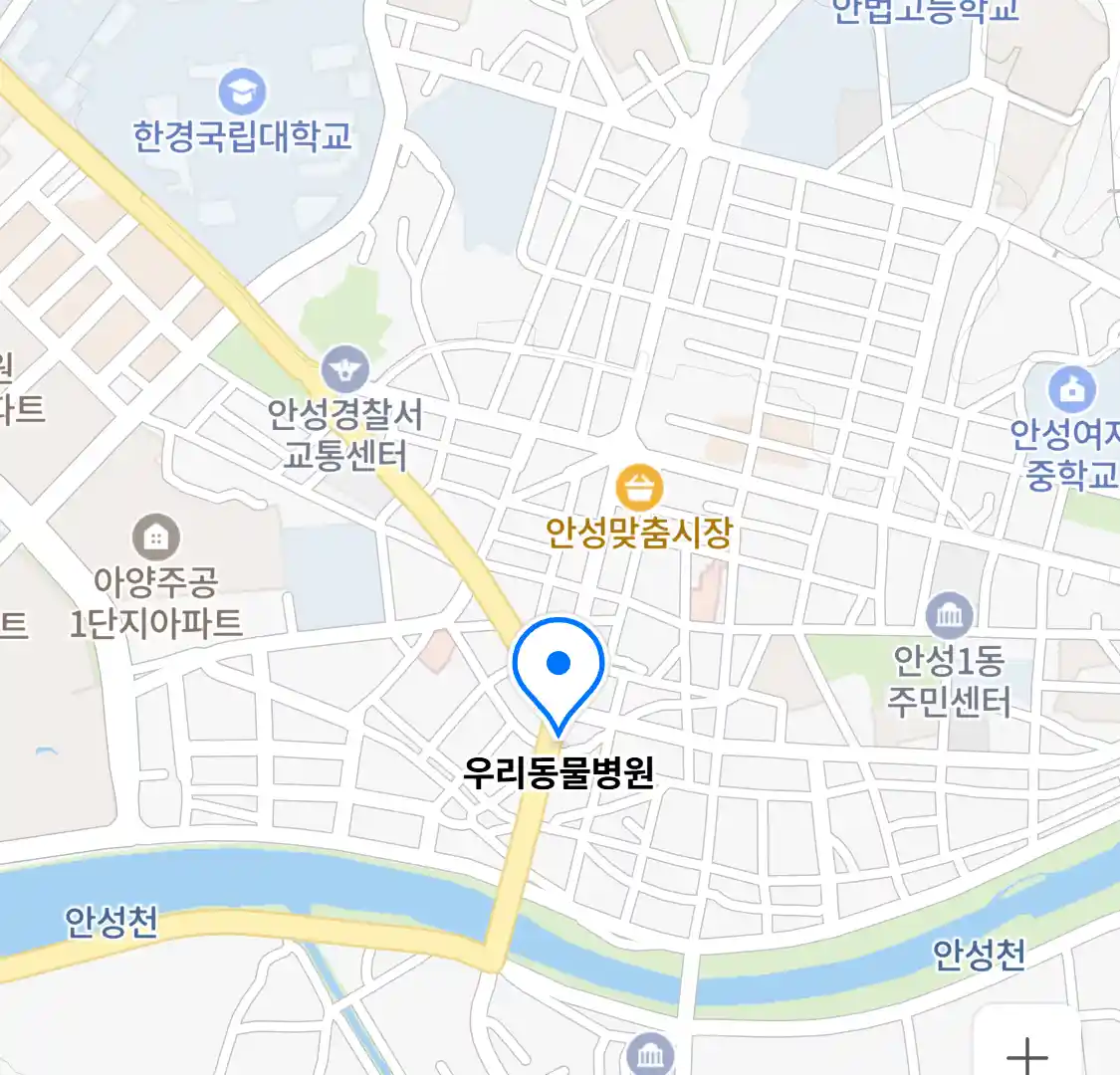 우리동물병원 위치