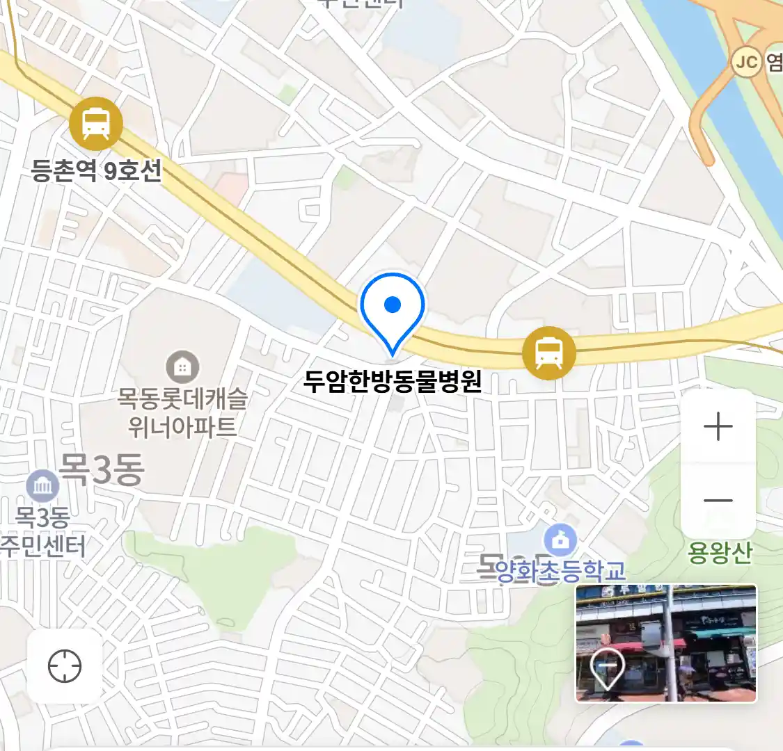 두암한방동물병원 위치
