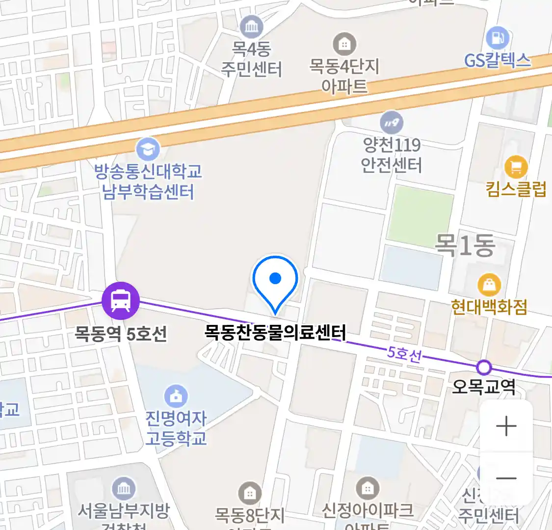 목동찬동물의료센터 위치
