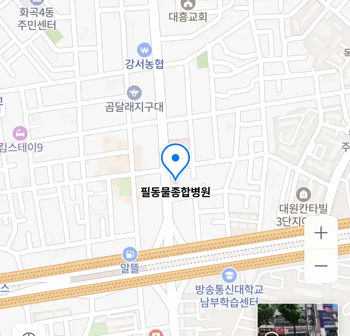 필동물종합병원 위치