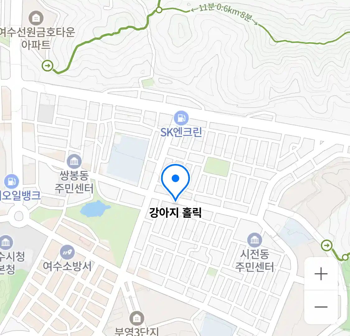 강아지 홀릭 위치