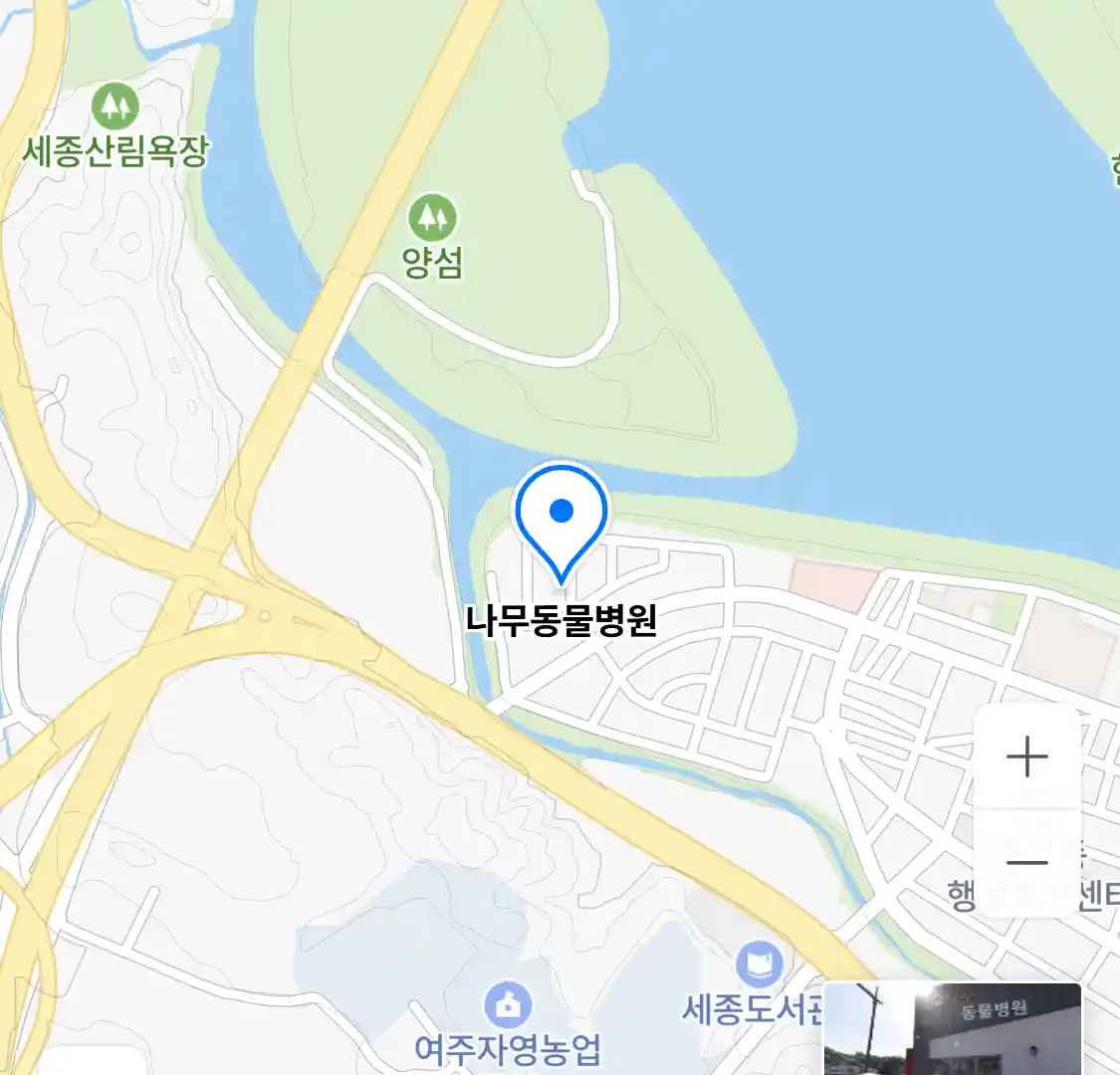 나무동물병원 위치