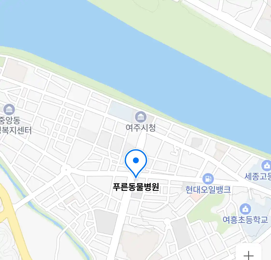 푸른동물병원 위치