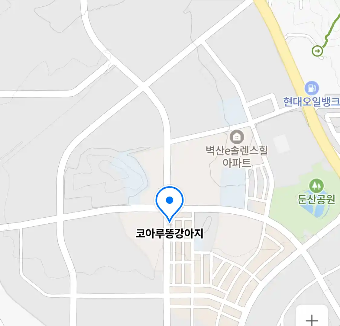 코아루똥강아지 위치