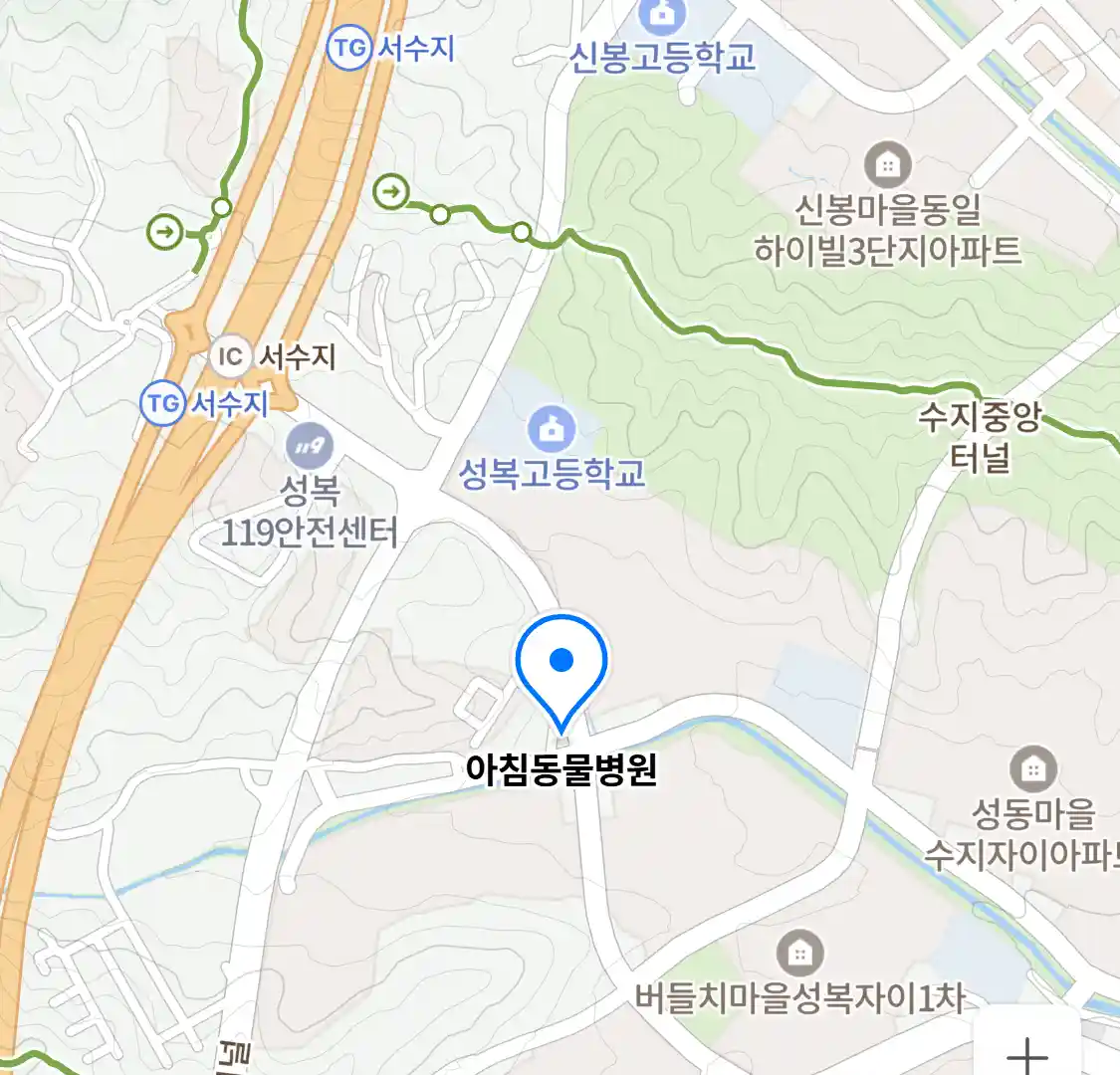 아침동물병원 위치