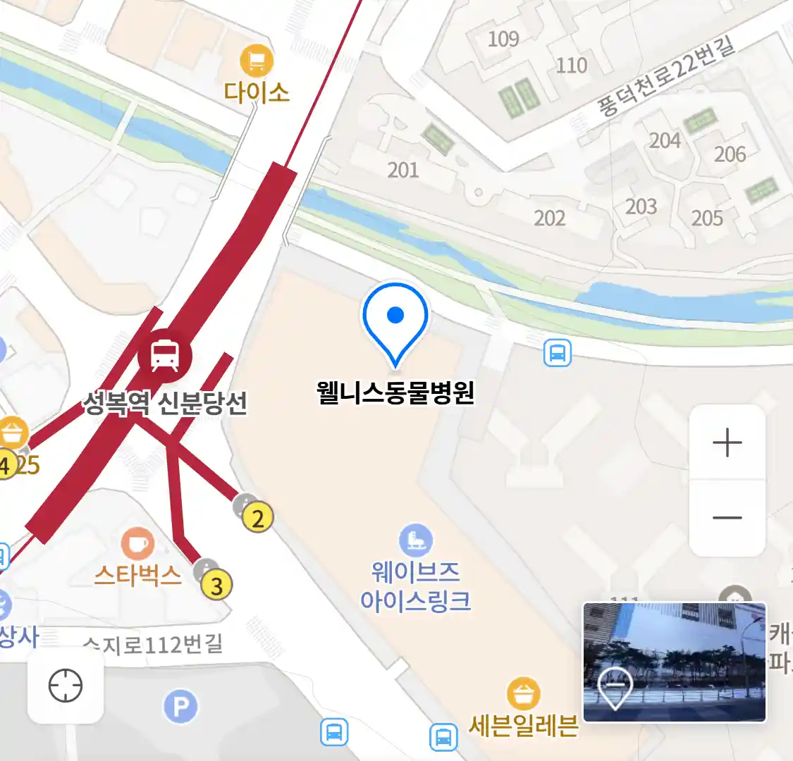 웰니스동물병원 위치