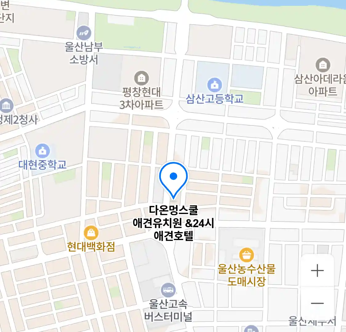 다온멍스쿨 애견유치원 & 24시 애견호텔 위치