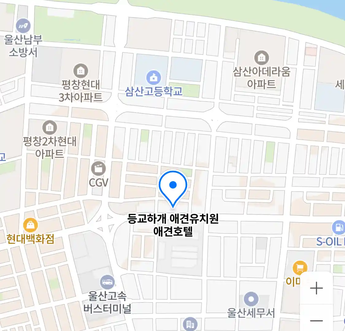 등교하개 애견유치원 애견호텔 위치
