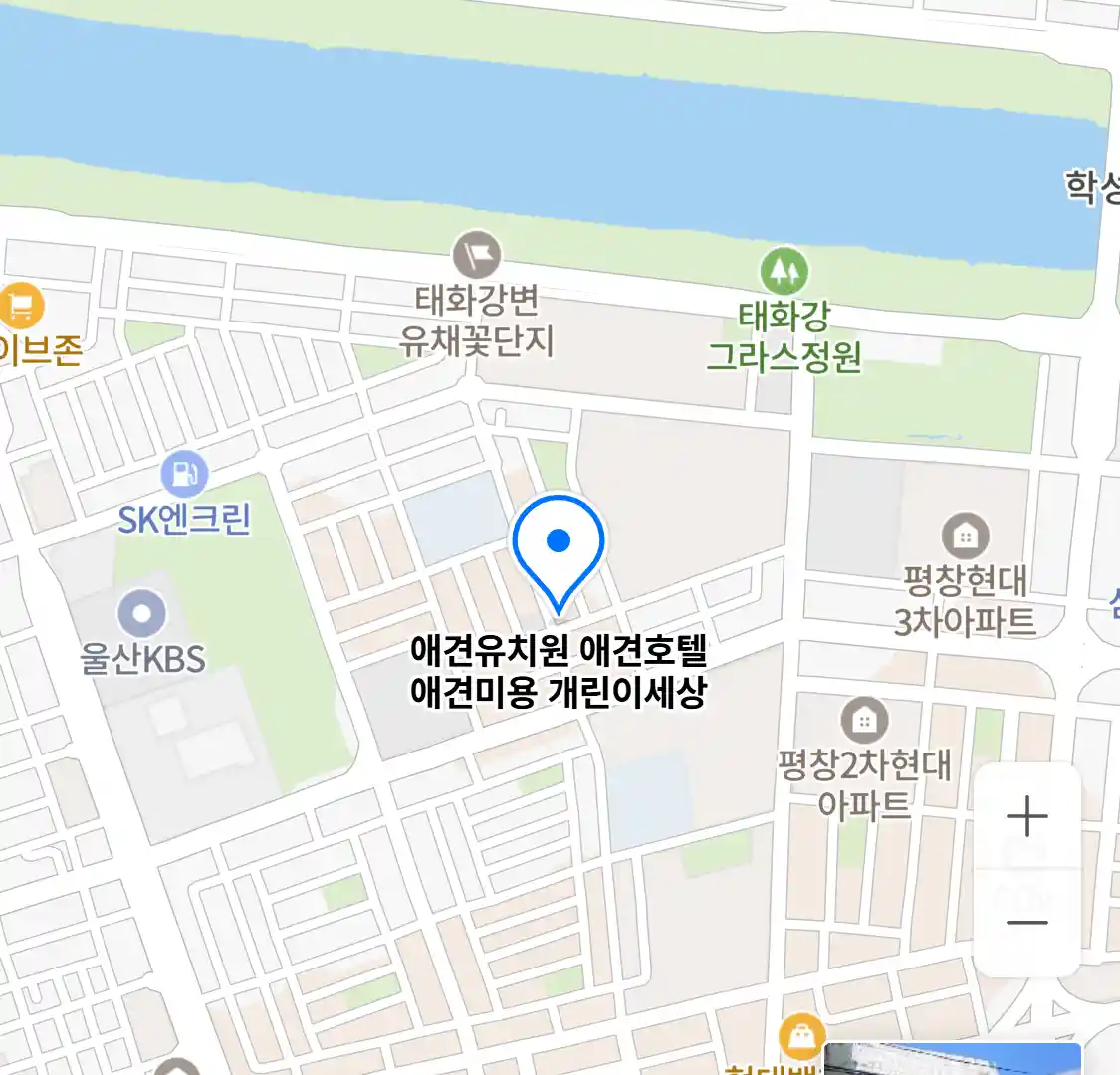 애견유치원 애견호텔 애견미용 개린이세상 위치