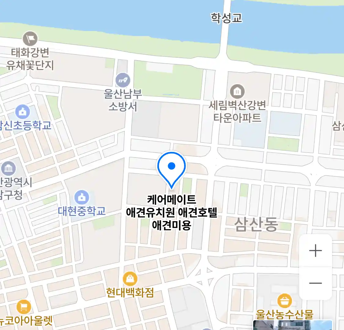 케어메이트 애견유치원 애견호텔 애견미용 위치
