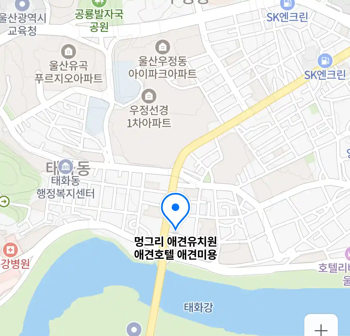 멍그리 애견유치원 애견호텔 애견미용 위치