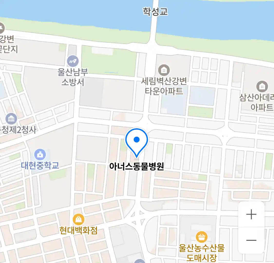 아너스동물병원 위치