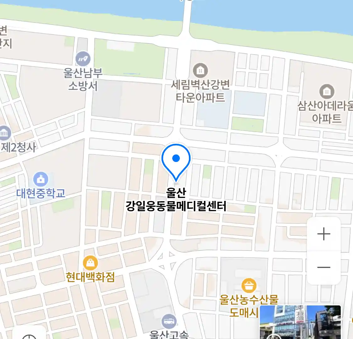 울산 강일웅동물메디컬센터 위치