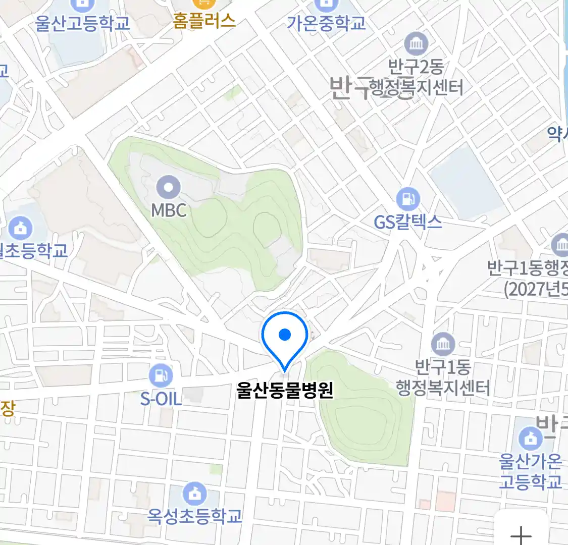 울산동물병원 위치