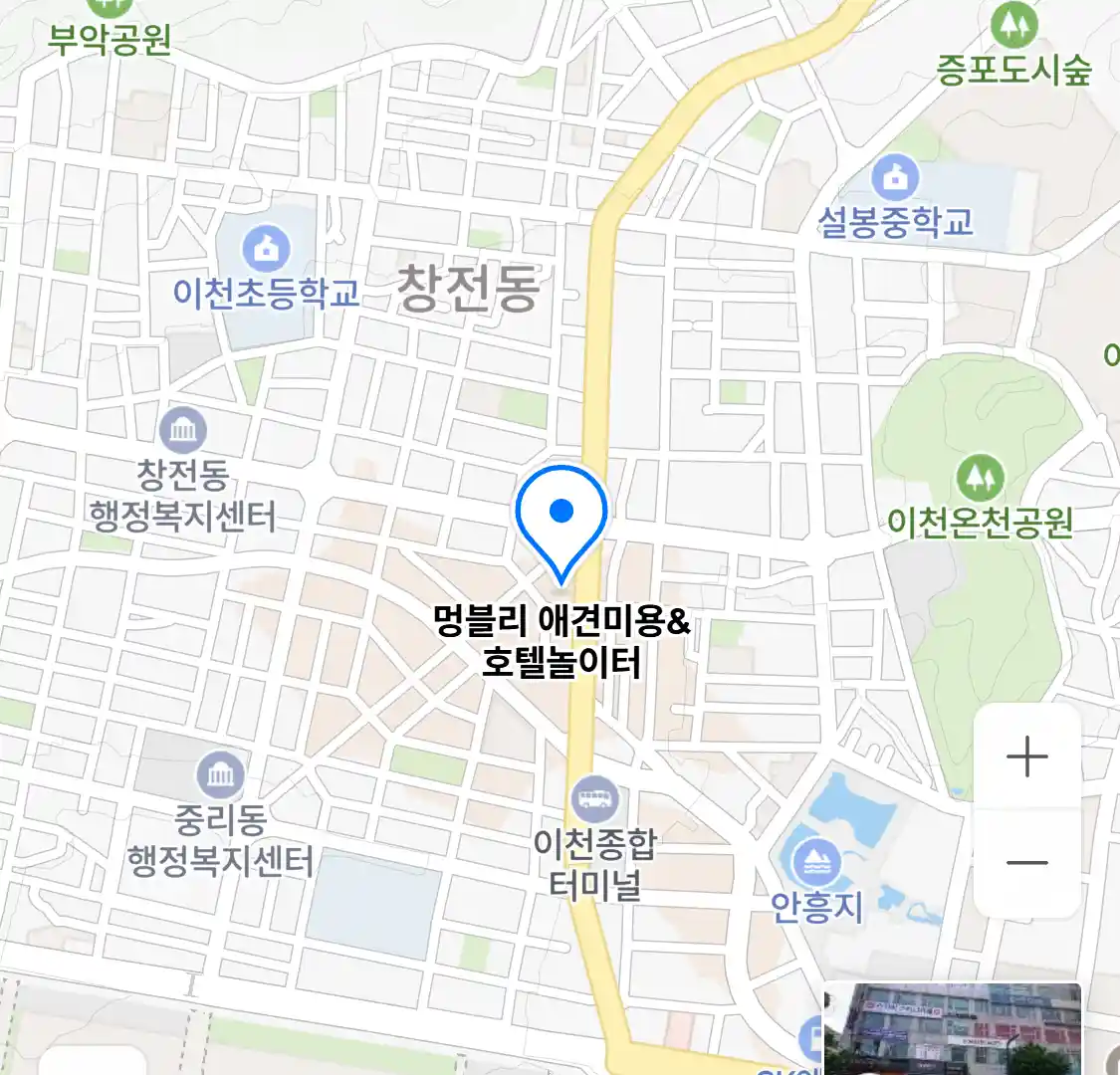 멍블리 애견미용&호텔놀이터 위치