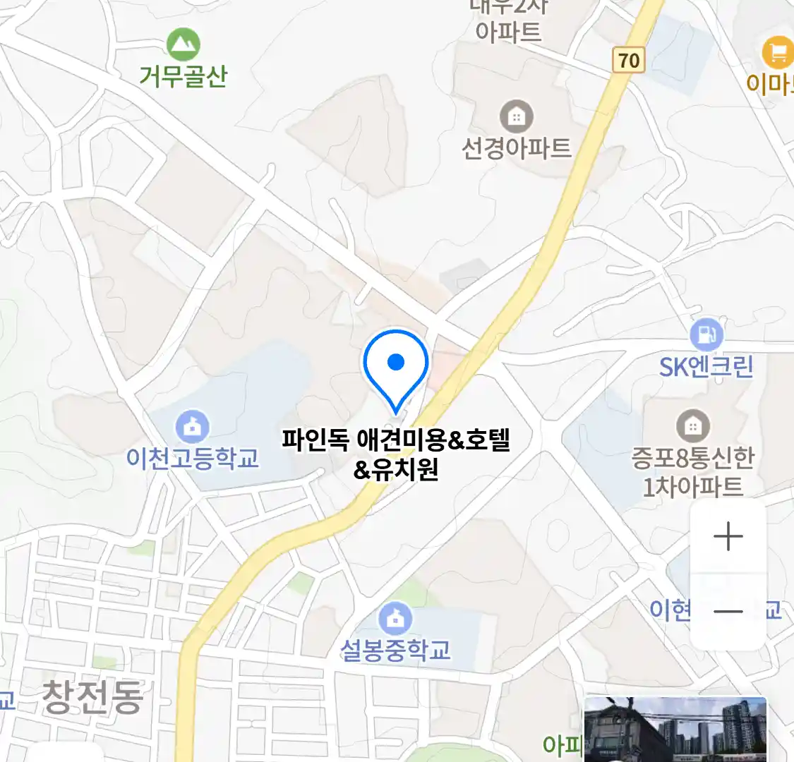 파인독 애견미용&호텔&유치원 위치