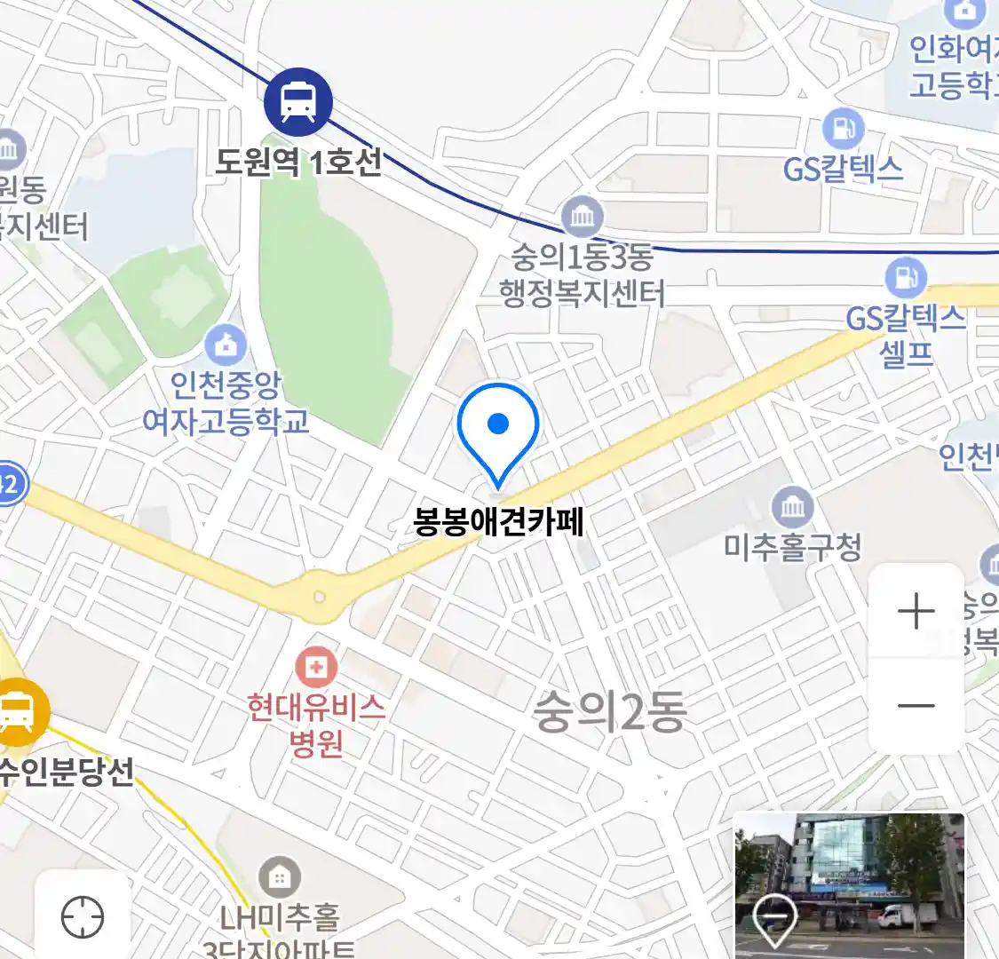 봉봉애견카페 지도