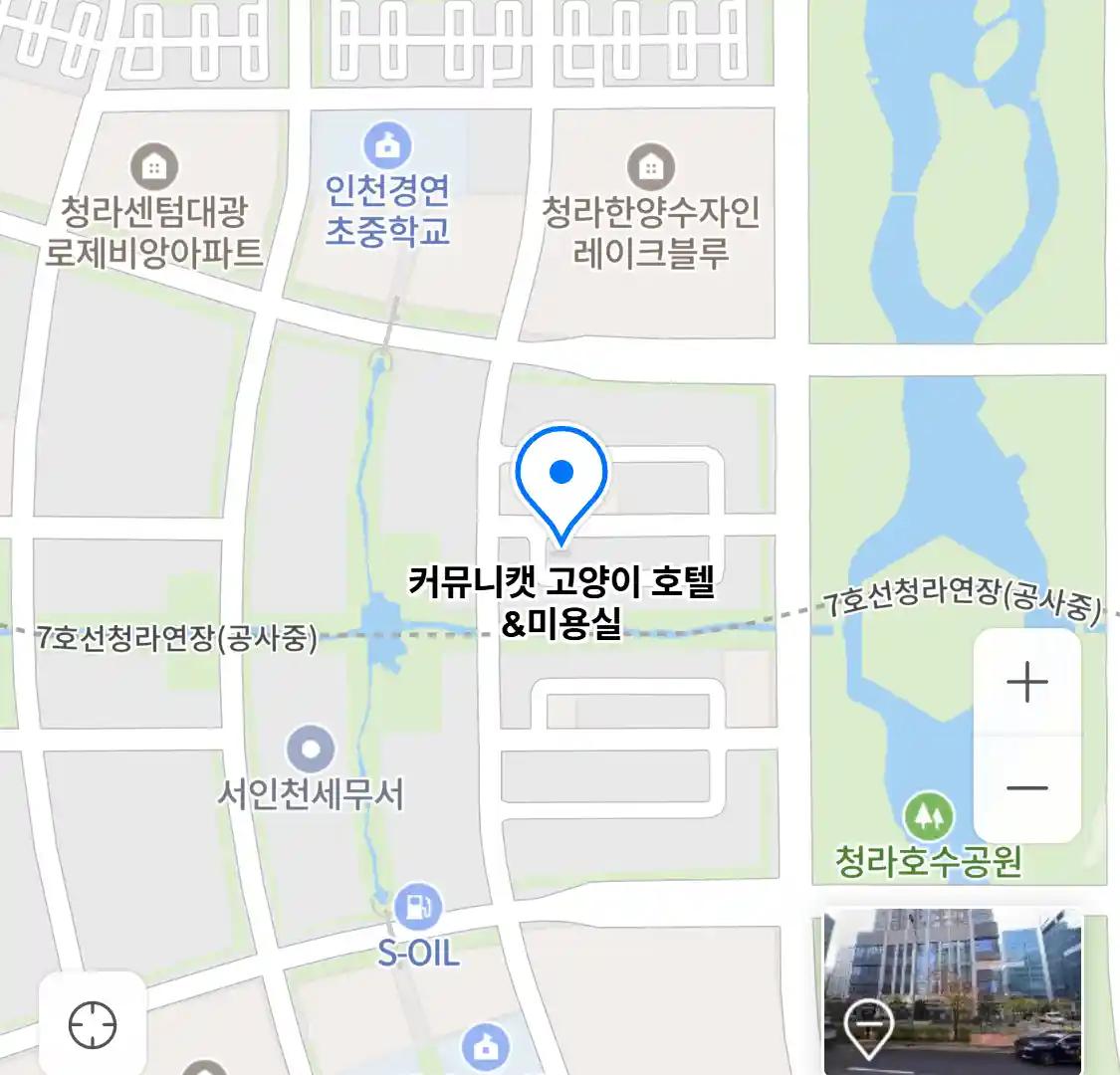 커뮤니캣 고양이 호텔&미용실 위치