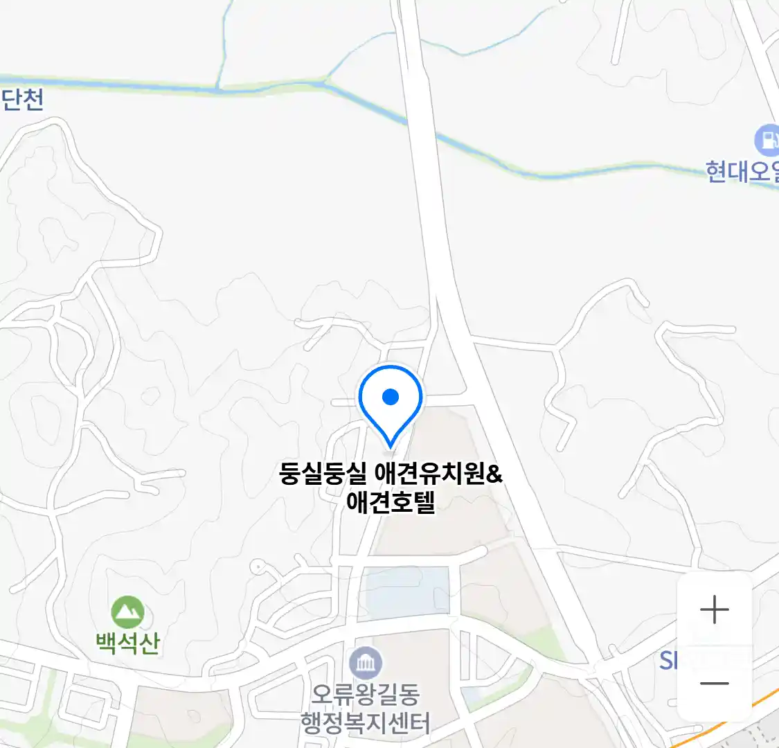 둥실둥실 애견유치원&애견호텔 위치