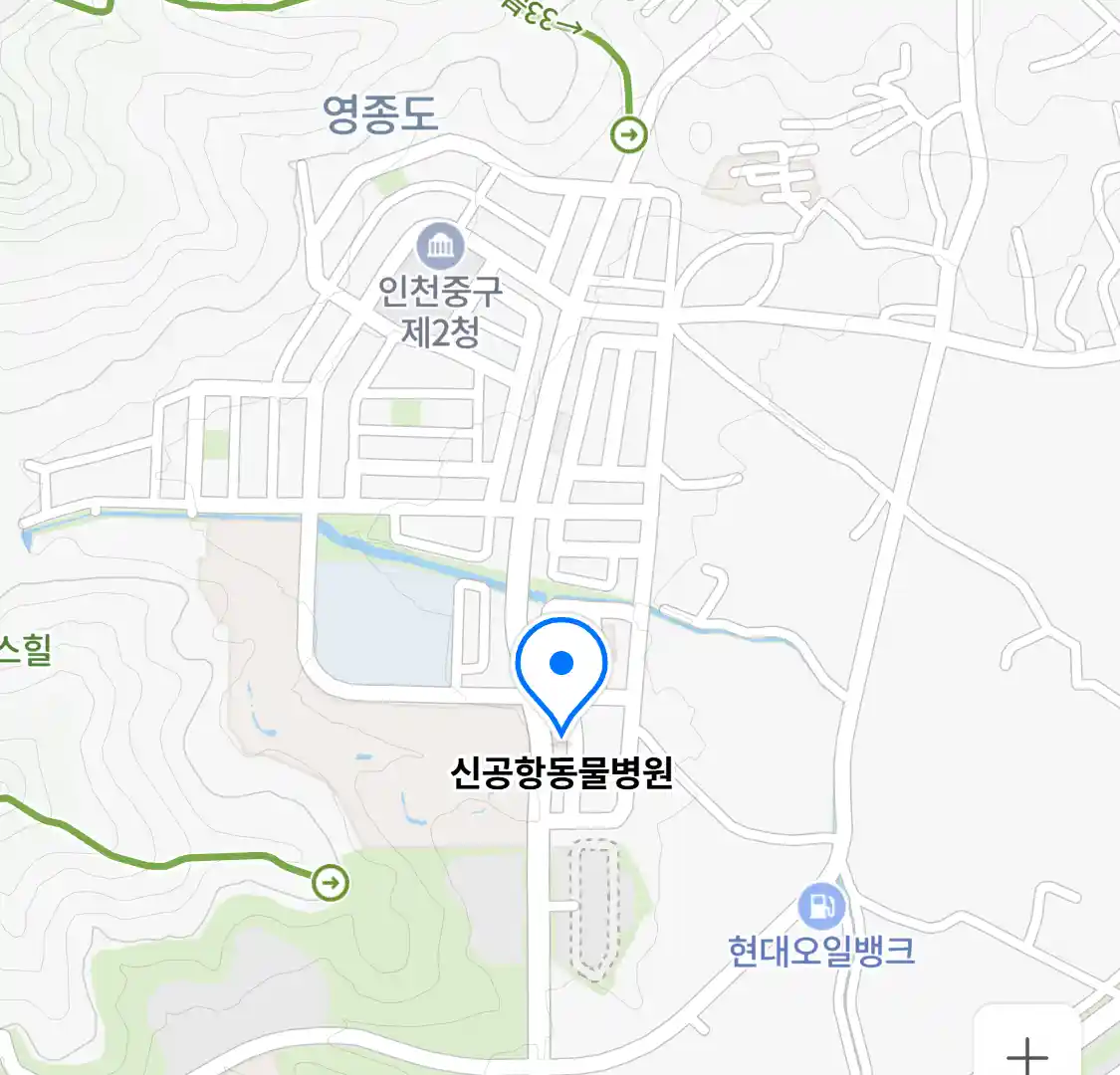 신공항동물병원 위치
