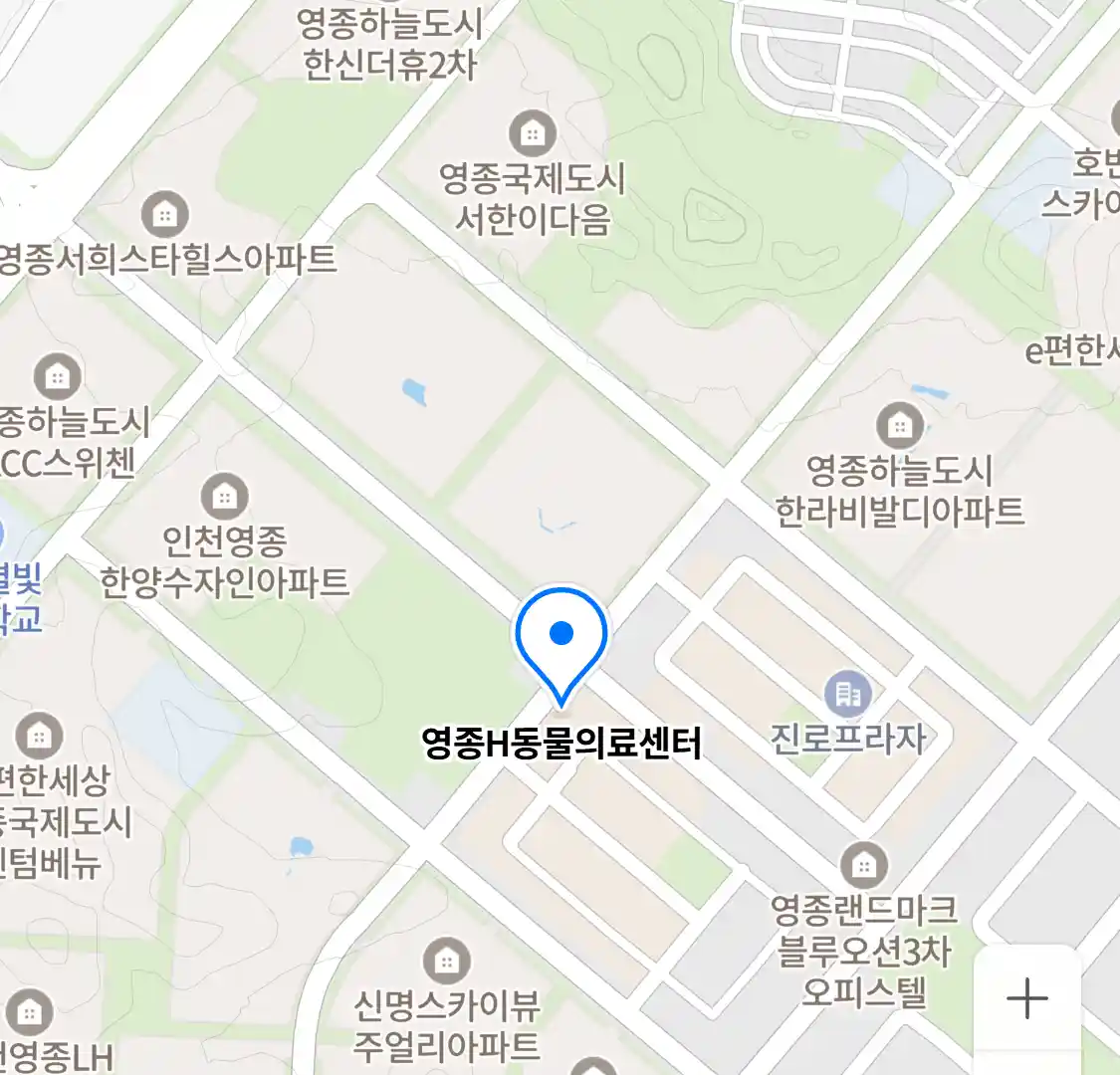 영종H동물의료센터 위치