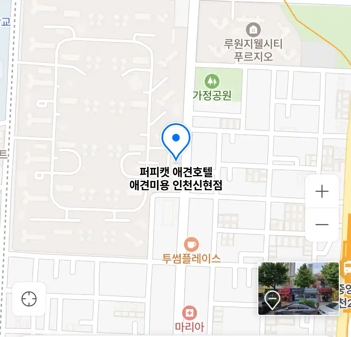 퍼피캣 애견호텔 애견미용 인천신현점 위치