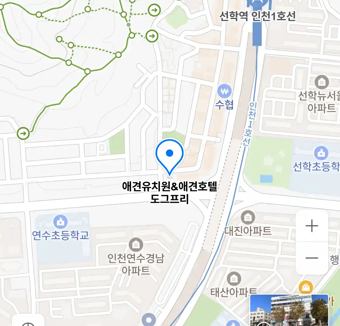 애견유치원&애견호텔 도그프리 위치