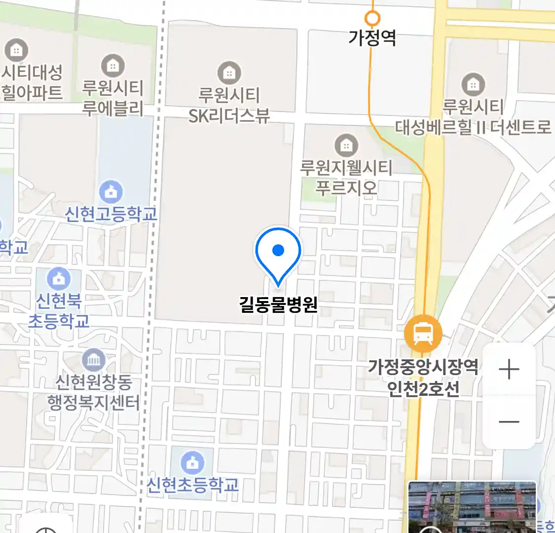 길동물병원 위치