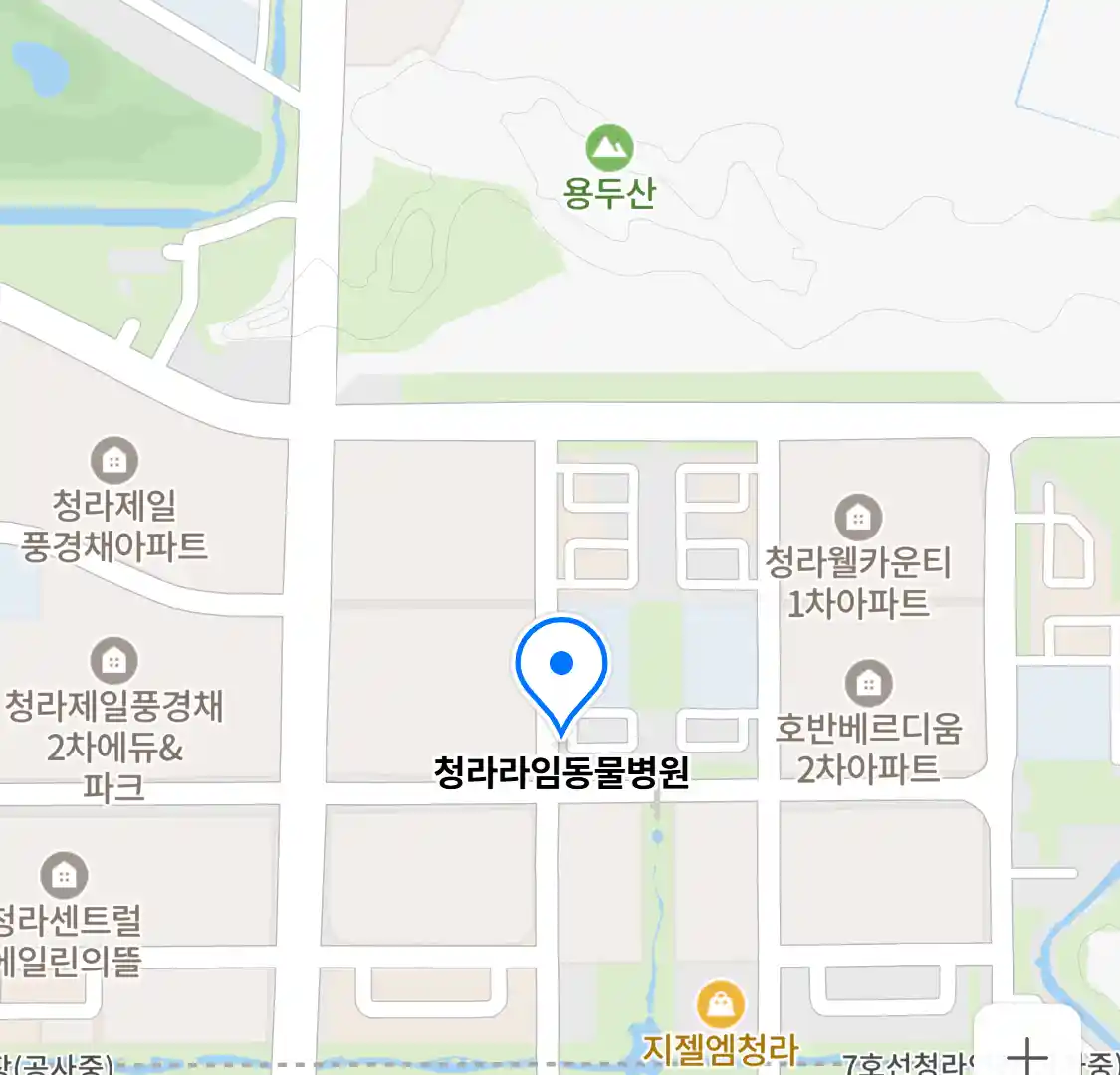 청라라임동물병원 위치