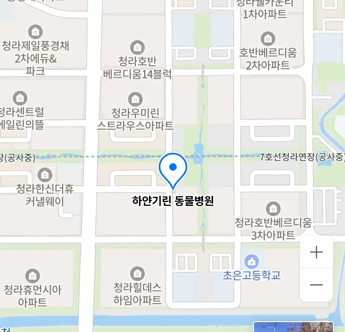 하얀기린 동물병원 위치