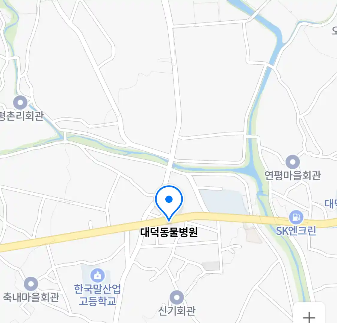 대덕동물병원 위치