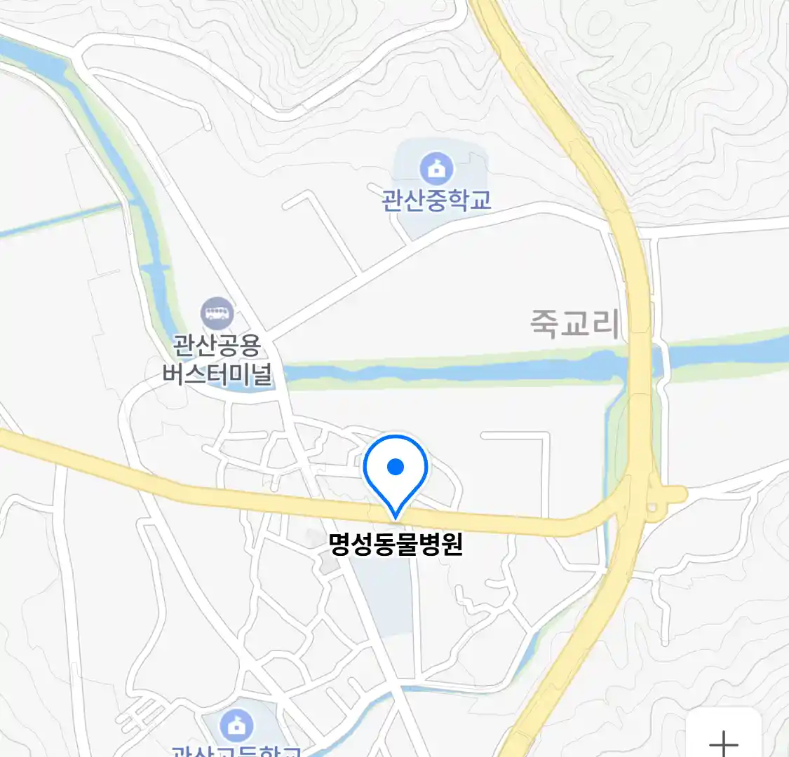 명성동물병원 위치