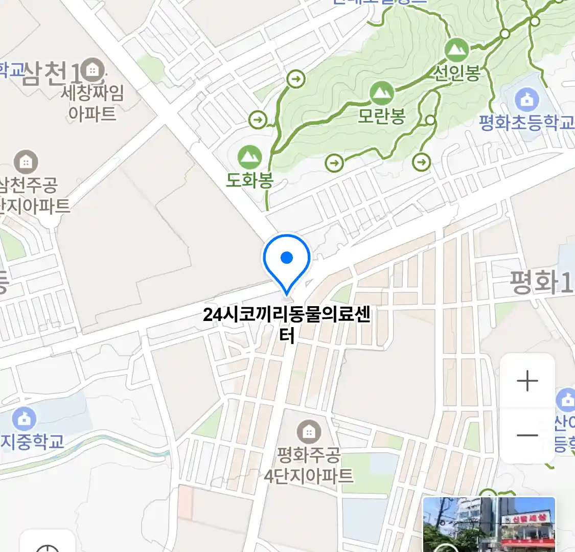 24시코끼리동물의료센터 위치