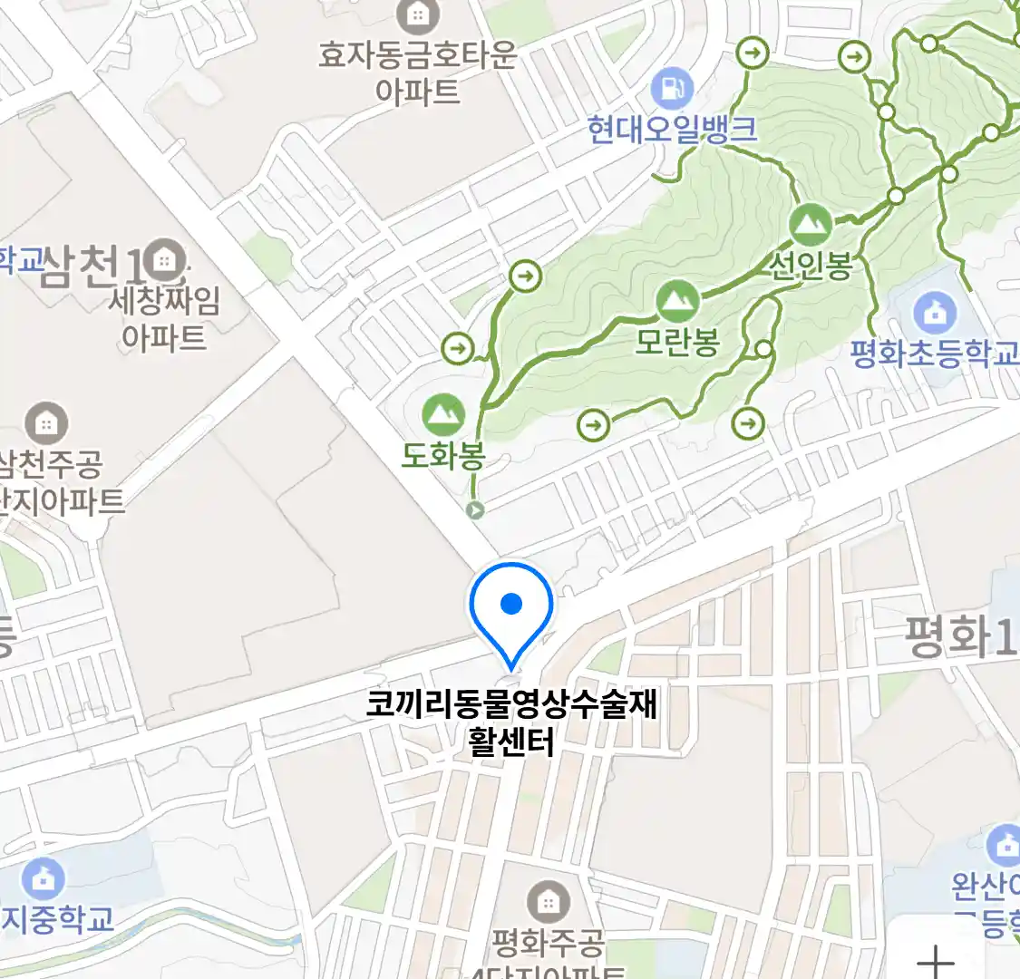 코끼리동물영상수술재활센터 위치