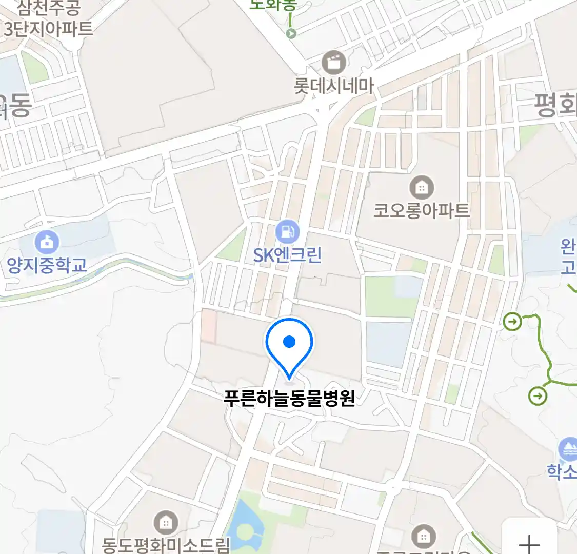 푸른하늘동물병원 위치