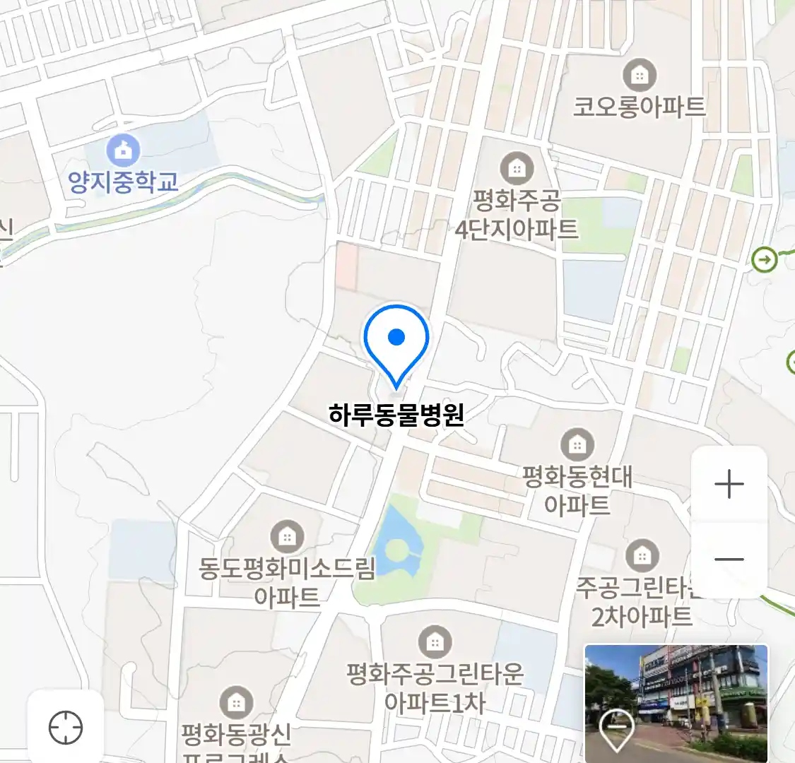 하루동물병원 위치