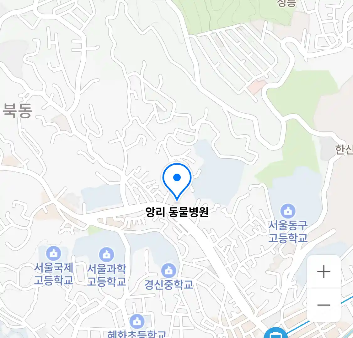앙리 동물병원 위치