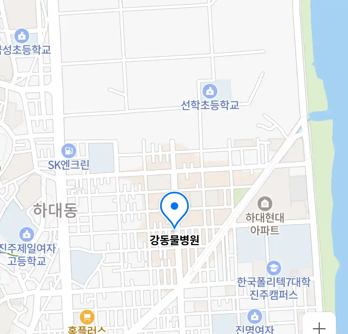 강동물병원 위치