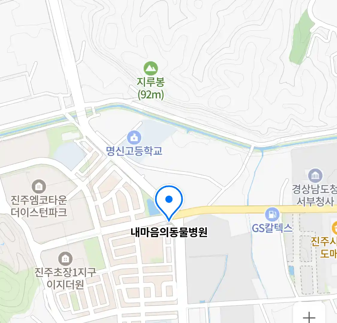 내마음의동물병원 위치