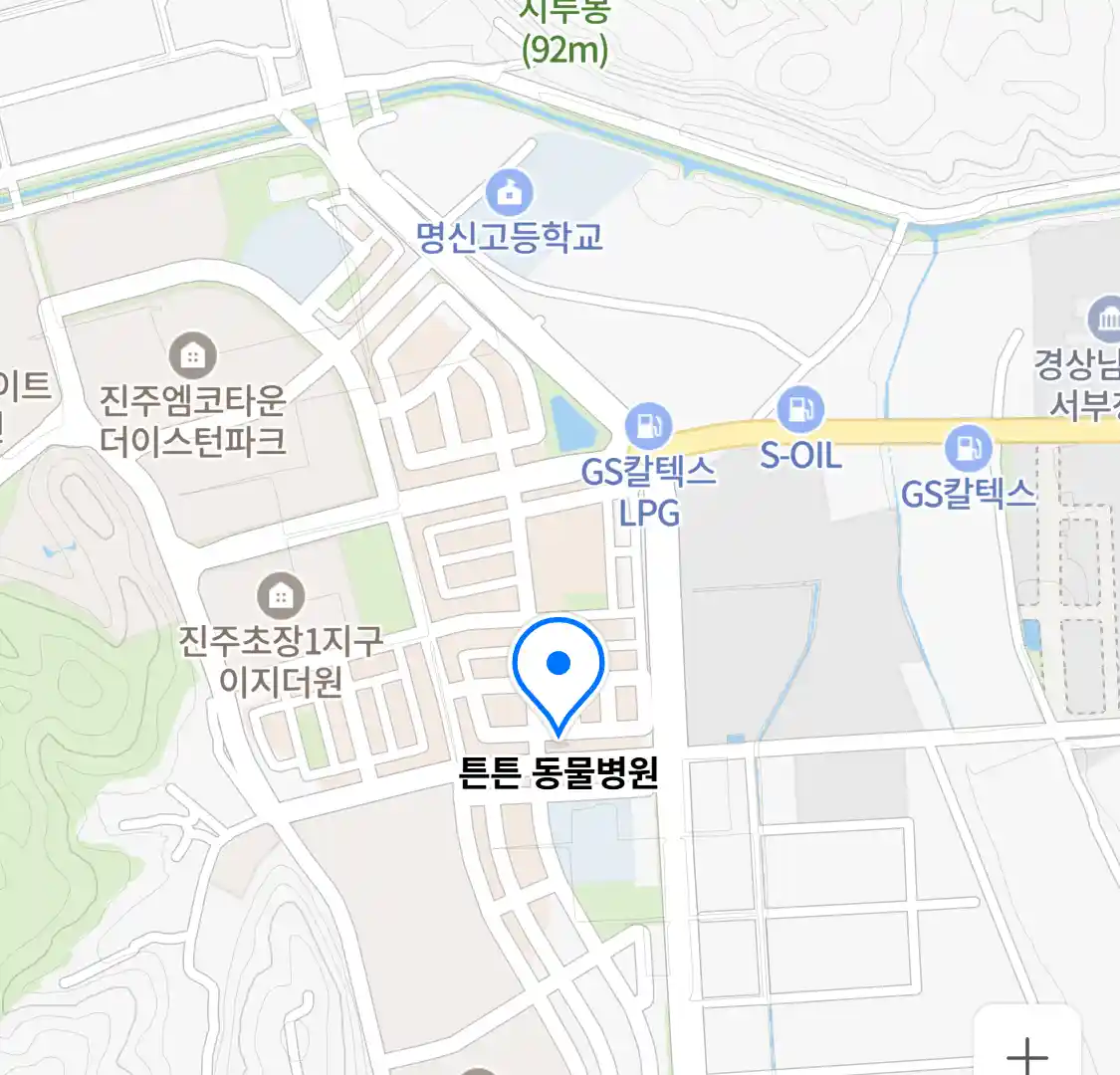 튼튼 동물병원 위치