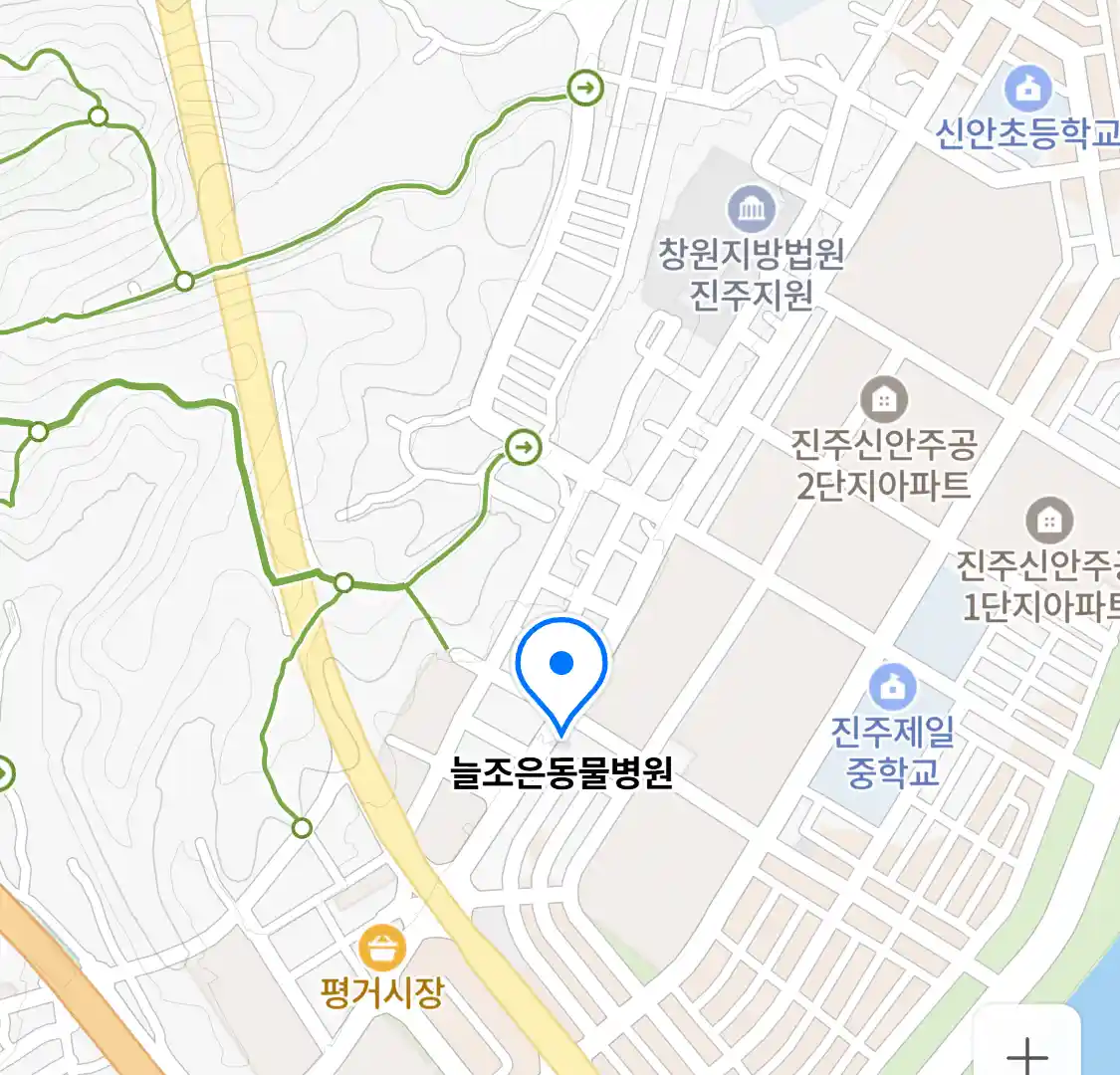 늘조은동물병원 위치