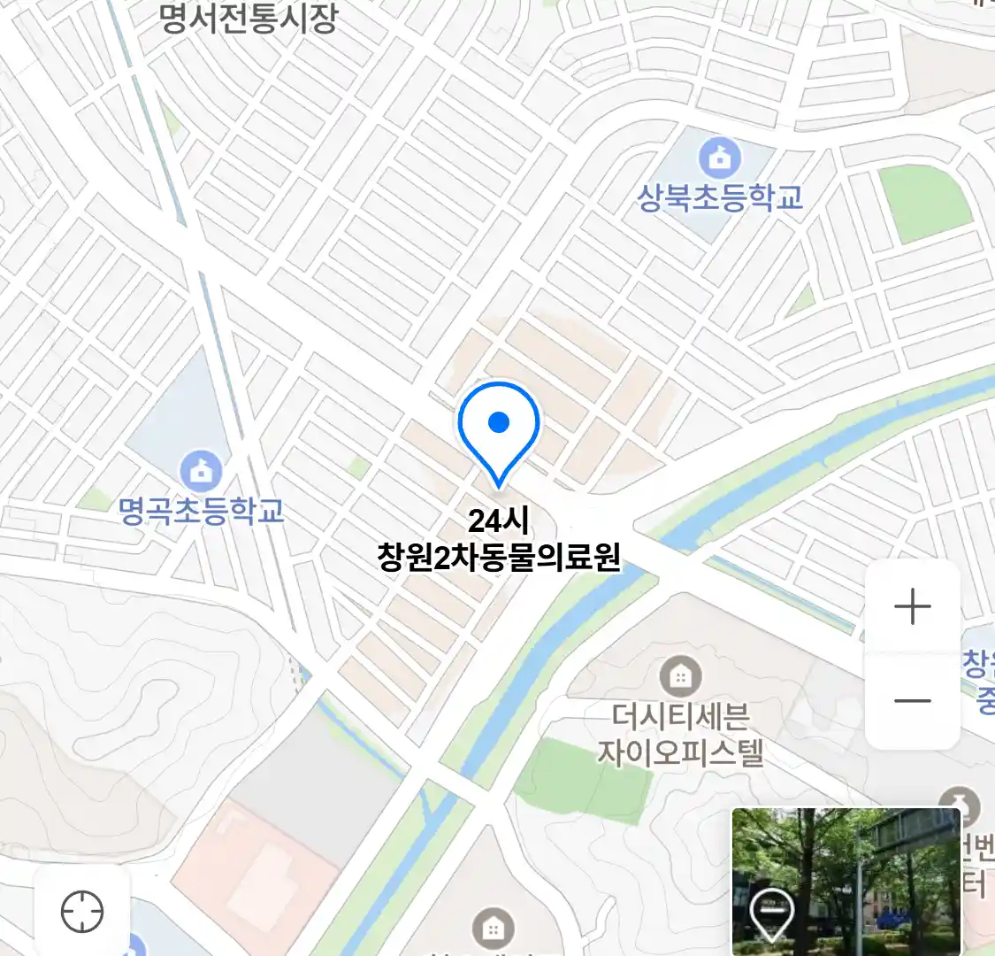 24시 창원2차동물의료원 위치