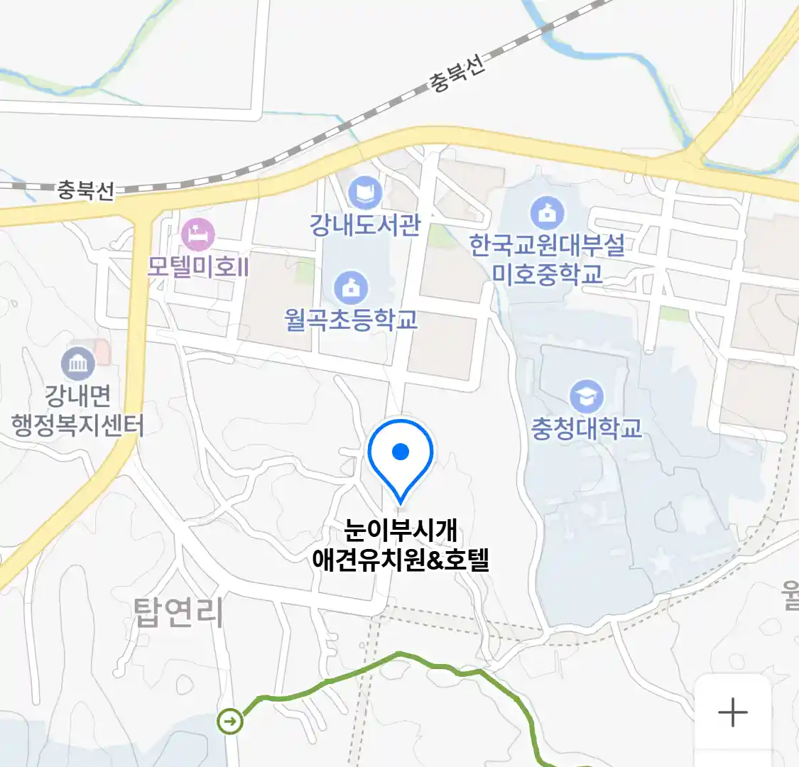 눈이부시개 애견유치원&호텔 위치