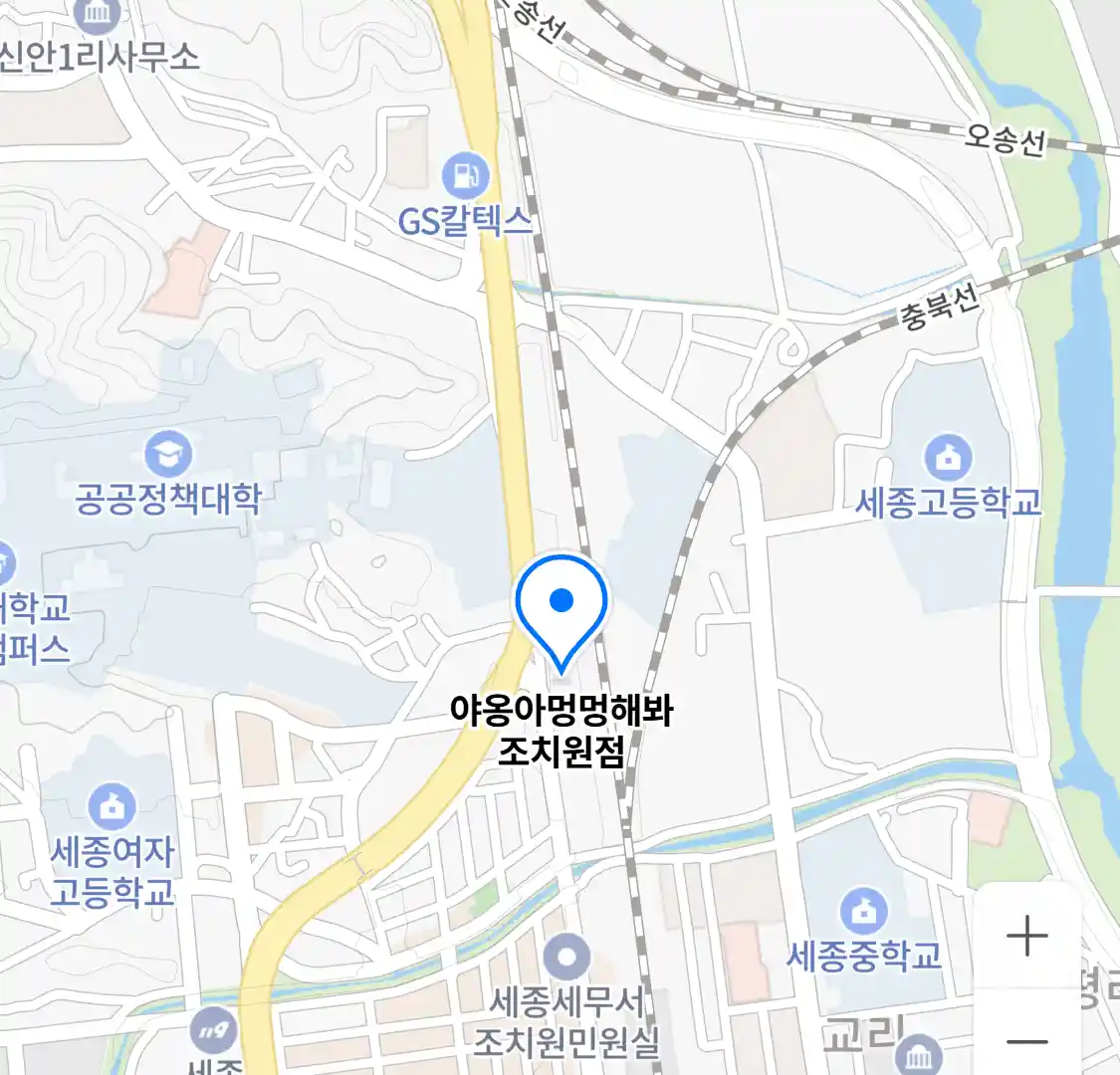 야옹아멍멍해봐 조치원점 위치